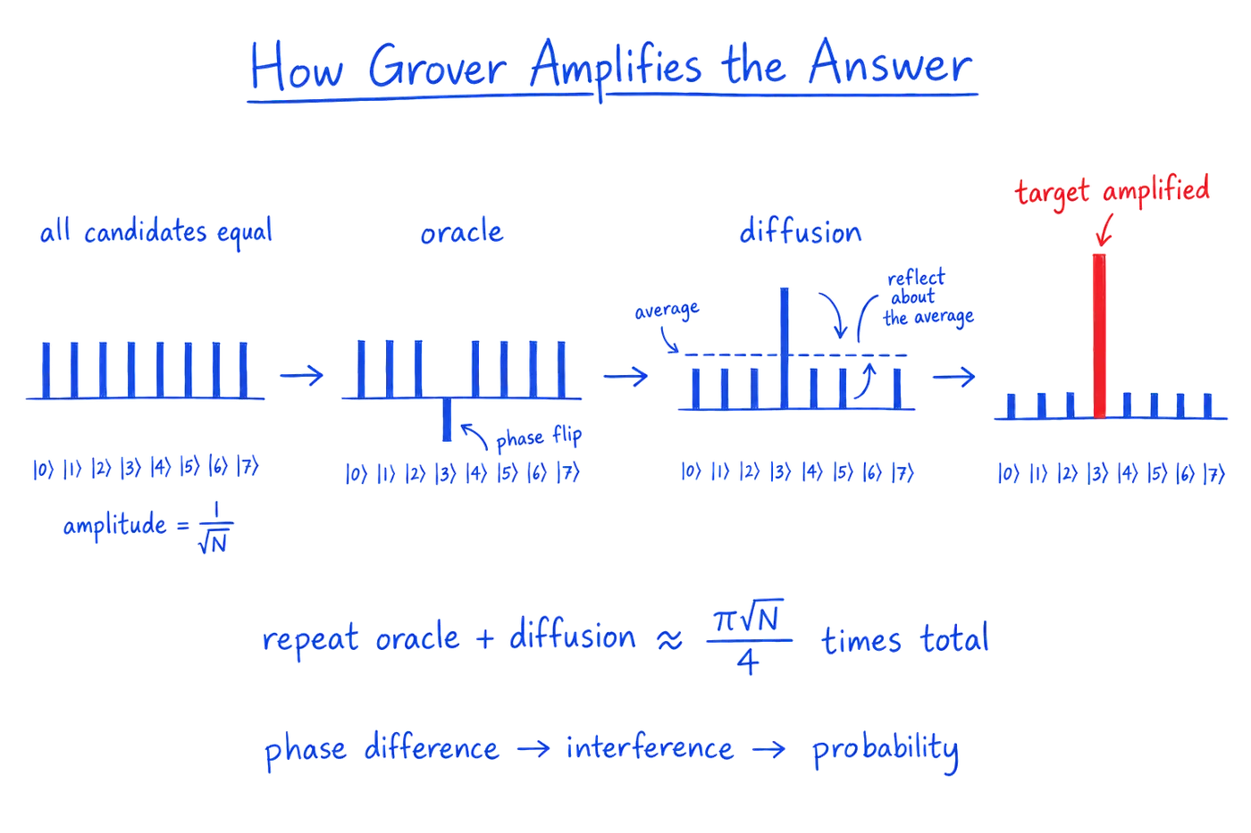 How Grover amplifies the answer, on eight candidates labeled |0⟩ to |7⟩. First, all candidates have equal amplitude, 1 over the square root of N. Second, the oracle applies a phase flip that pushes the |3⟩ bar below zero. Third, the diffusion step reflects every bar about the average, so the |3⟩ bar becomes tall and the others slightly shorter. Fourth, the target |3⟩ is amplified, drawn as a tall red bar. Below: repeat oracle plus diffusion about pi times the square root of N over 4 times in total; phase difference, then interference, then probability.